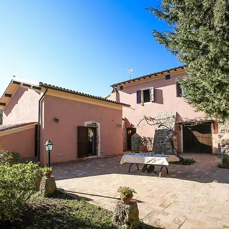 Casalino Spagnolo Cozy *